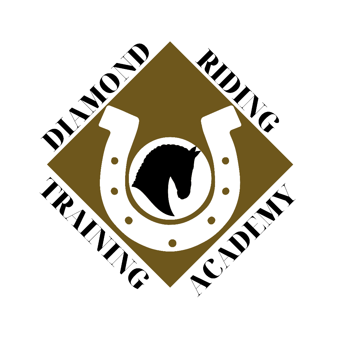 Logo for riding warehouse, outline of horse head with "Sneak Away Riding Club".